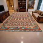 Ethnic Kilim rug Chobi 301x484 Handmade Afghan wool Kilim rug