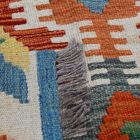 Ethnic Kilim rug Chobi 301x484 Handmade Afghan wool Kilim rug