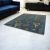 Oriental rug Afshar naqsha 253x293 handmade afghan carpet