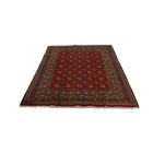 Oriental rug Aqcha Bukhara 150x196 handmade afghan carpet