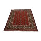Oriental rug Aqcha Bukhara 123x178 handmade carpet