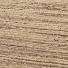 Thick wool rug 200x292 plain living room carpet