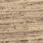 Thick wool rug 90x157 plain living room carpet