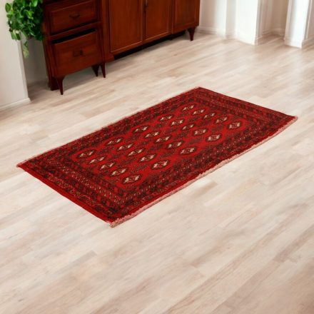 Turkmen rug Balisht Nakhsha 50x97 hand-knotted authentic rug