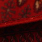 Turkmen rug Balisht Nakhsha 53x98 hand-knotted authentic rug