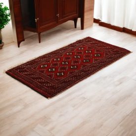 Turkmen rug Balisht Nakhsha 57x110 hand-knotted authentic rug