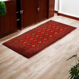   Turkmen rug Balisht Nakhsha 52x107 hand-knotted authentic rug