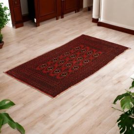Turkmen rug Balisht Nakhsha 49x94 hand-knotted authentic rug