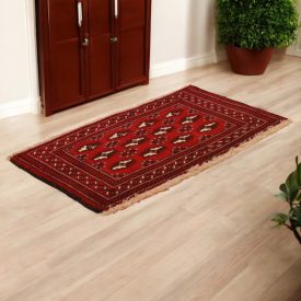 Turkmen rug Balisht Nakhsha 49x89 hand-knotted authentic rug