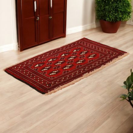 Turkmen rug Balisht Nakhsha 49x89 hand-knotted authentic rug