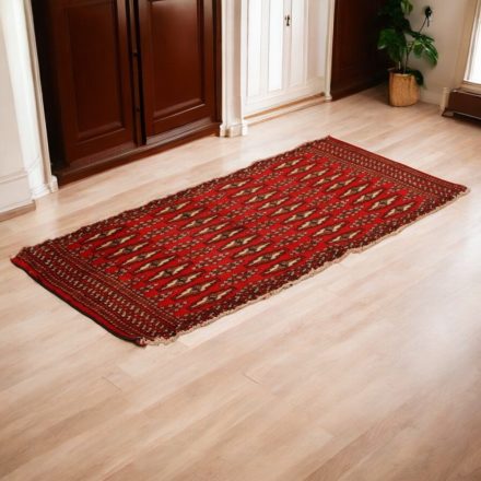 Turkmen rug Balisht Nakhsha 50x103 small handmade rug