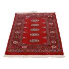 Pakistani rug Bokhara 76x123 handmade oriental wool rug