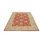 Ziegler carpet 170x237 handmade oriental carpet