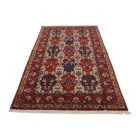 Bakhtiari Iranian rug 151x253 hand knotted persian carpet for living room