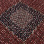 Large rug Tabriz 245x355 handmade iranian carpet for Living room