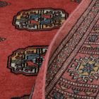 Runner rug Bokhara 76x233 handmade pakistani rug for corridor or hallways