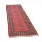 Runner carpet Butterfly 78x237 handmade pakistani carpet for corridor or hallways