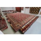 Large carpet Kazak 553x416 handmade Afghan rug for living room