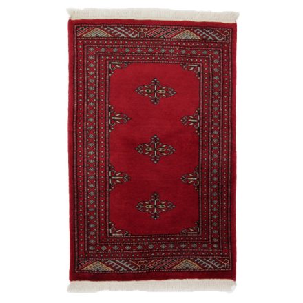 Pakistani carpet Butterfly 96x62 handmade oriental wool rug