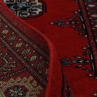 Pakistani rug Bokhara 80x126 handmade oriental wool rug