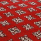 Pakistani carpet Bokhara 153x245 handmade oriental wool rug