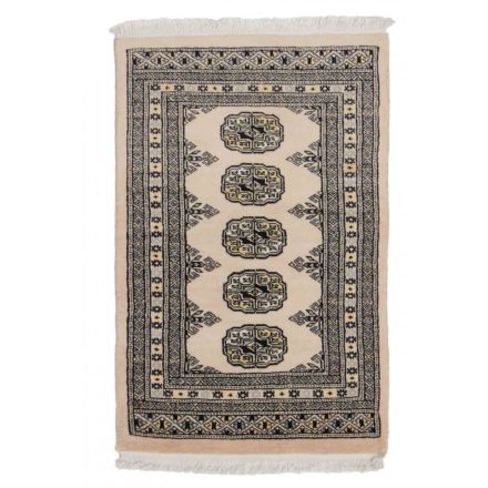 Pakistani carpet Mauri 63x96 handmade oriental wool rug