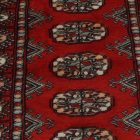 Runner rug Bokhara 65x188 handmade pakistani rug for corridor or hallways