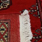 Runner rug Bokhara 64x191 handmade pakistani rug for corridor or hallways