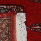 Runner carpet Bokhara 64x179 handmade pakistani carpet for corridor or hallways