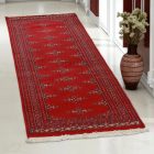 Runner carpet Butterfly 63x181 handmade pakistani carpet for corridor or hallways