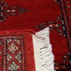 Runner carpet Butterfly 63x181 handmade pakistani carpet for corridor or hallways