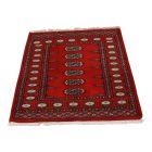 Pakistani rug Bokhara 80x118 handmade oriental wool rug