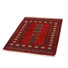 Pakistani rug Bokhara 80x118 handmade oriental wool rug