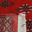 Pakistani rug Butterfly 95x149 handmade oriental wool rug