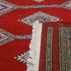 Pakistani rug Jaldar 168x237 handmade oriental wool rug