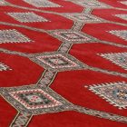 Pakistani rug Jaldar 168x237 handmade oriental wool rug