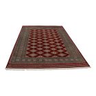 Pakistani rug Jaldar 170x242 handmade oriental wool rug