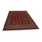 Pakistani rug Jaldar 168x259 handmade oriental wool rug