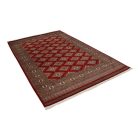 Pakistani rug Jaldar 168x259 handmade oriental wool rug