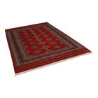Pakistani rug Jaldar 169x250 handmade oriental wool rug