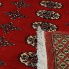 Pakistani Bokhara rug 220x297 handmade oriental wool rug