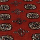 Large oriental rug red Bokhara 244x336 handmade Pakistani rug for living room