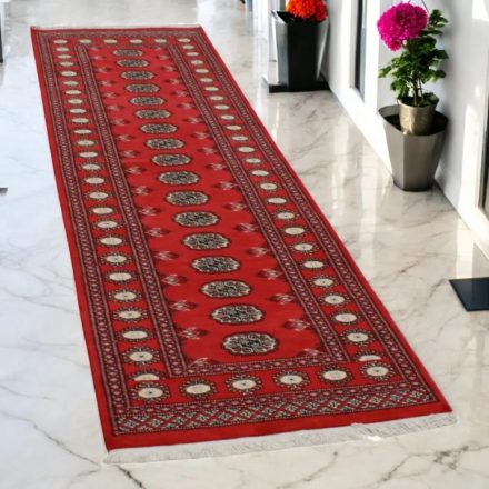 Runner carpet Mauri 79x253 handmade pakistani carpet for corridor or hallways