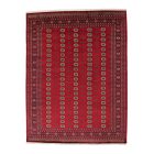 Pakistani rug Bokhara 280x366 handmade oriental wool rug