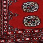 Large oriental rug red Bokhara 278x372 handmade Pakistani rug for living room
