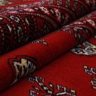 Large oriental rug red Bokhara 278x372 handmade Pakistani rug for living room