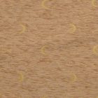 Beige Decorative Cushion 45x45 cm – Moonlight Dream