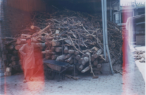 Ziegler carpet making