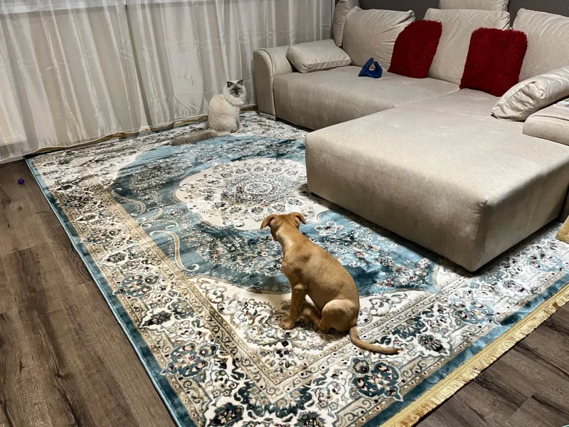 Why choose a classic carpet?